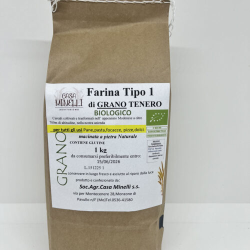 Farina di grano tenero tipo 1 biologica